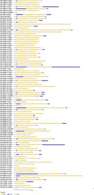 Expansion of C1Q Genes in Zhikong Scallop and Their Expression Profiling After Exposure to the Toxic Dinoflagellates